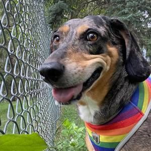 Meet your Posher, Mike